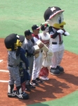 090613_まいこはん1.jpg