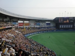 090613_Tigers LUCK7.jpg