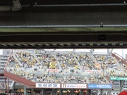 090809_ビジターパフォーマンス.jpg