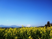 100110_azumayama06.jpg