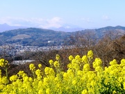 100110_azumayama09.jpg