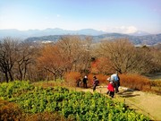 100110_azumayama1.jpg