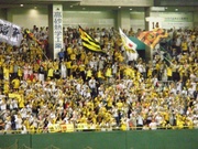 20100704_レフトの暑い阪神ファン.jpg