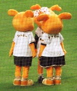 20100704_後ろ姿が手抜きなジャビ一族.jpg
