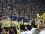 20100829_鋭いスイング見せました♪鳥谷.jpg