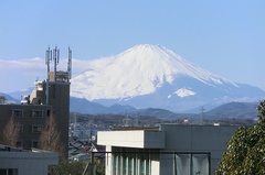 20130127_メインスタンド最上段から富士山.jpg