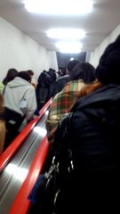 20130331110406-619.jpg