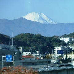 20131123_ロマンスカーの車窓から富士山 (多摩川橋の上).jpg