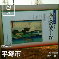 2014-01-20_馬入 (3).jpg