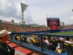 20140706_ハマスタ(阪神12‐6DeNA) (18).jpg