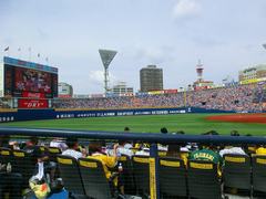 20140706_ハマスタ(阪神12‐6DeNA) (19).jpg