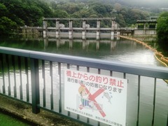 20140812_相模湖相模ダム付近 (10-1).jpg