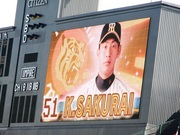 51K-SAKURAI.jpg