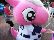 パオロン.jpg