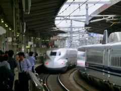 CIMG0694.jpg
