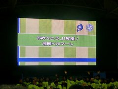 CIMG0871.jpg