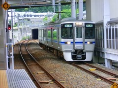 CIMG1253.jpg