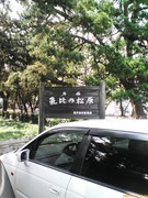 D1008141.JPG
