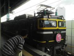 D1010293.JPG