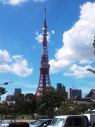 DSC_0530.jpg