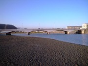 DSC_1184.jpg