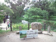 DSC_3149 - コピー.jpg