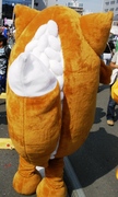 いなりん裏.jpg