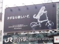 おとうさん.jpg