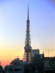 ゆりかもめから東京タワー.jpg