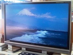 三保の松原晴れていれば富士山見える.jpg