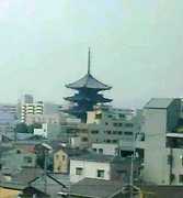 東寺.jpg