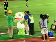 生茶パンダ.jpg