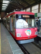 F1010699.JPG