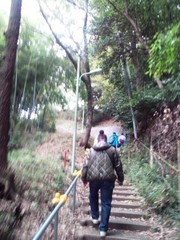 IMG_20121111_094933.jpg
