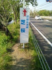 IMG_20130415_161441.jpg