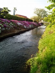 IMG_20130415_161957.jpg