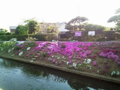 IMG_20130415_162554.jpg