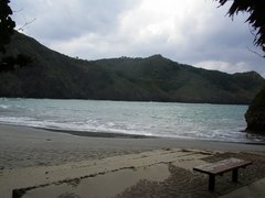 P1011878.jpg