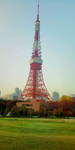 F1010539.jpg