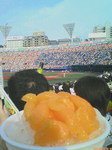 D1000200.jpg