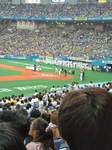 F1012346.jpg